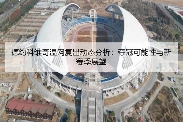 德约科维奇温网复出动态分析：夺冠可能性与新赛季展望