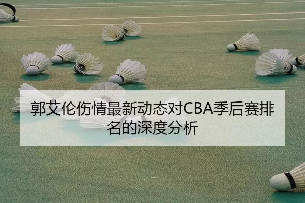 郭艾伦伤情最新动态对CBA季后赛排名的深度分析